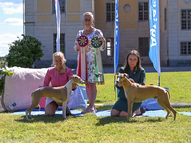 Mälsakers Slott 2022